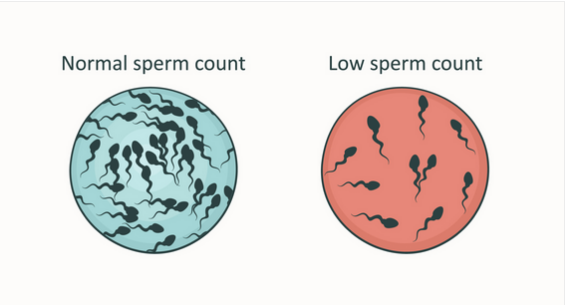 improve-sperm-count